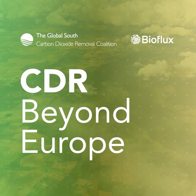 CDR beyond Europe: what a global removals market means for the EU